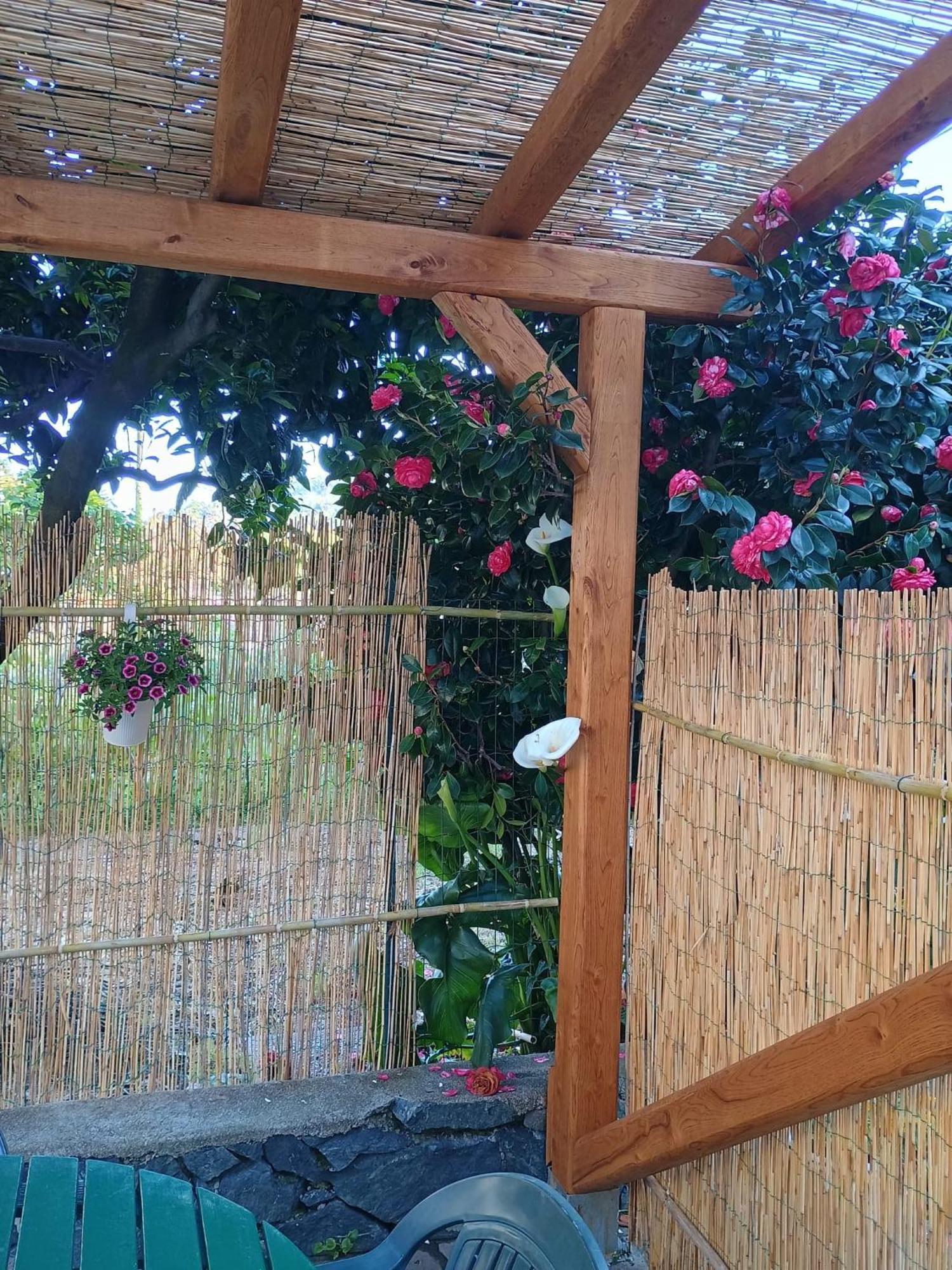 Willa La Casa Dei Due Aranci Albisola Superiore Zewnętrze zdjęcie